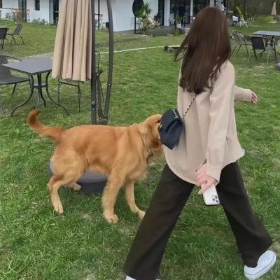 八道楼子